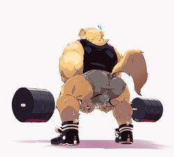 2019 anthro ass barbell big_muscles bodily_fluids bottomwear bulge canid canine canis clothing deadlift domestic_dog exercise fur invalid_tag kerun male male_only mammal muscular muscular_male shirt shorts simple_background sneakers solo sweat tank_top topwear weightlifting workout yellow_body yellow_fur