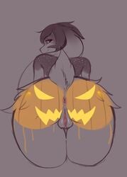 2019 absurd_res anthro anus areola ass big_butt biped bodypaint butt_focus dirtyrenamon doomthewolf female food fruit fur hi_res jack-o'-lantern lagomorph leporid long_ears looking_at_viewer looking_back mammal misu_(dirtyrenamon) plant presenting presenting_hindquarters pumpkin pumpkin_butt pussy rabbit sketch solo