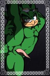 animal_genitalia anthro avian avian_penis bird blue_eyes border cloaca eyewear flexible goggles hi_res jet_the_hawk looking_at_viewer male male_only muscular muscular_male penis pinup pose raised_leg salamikii shadow solo sonic_(series) sonic_riders