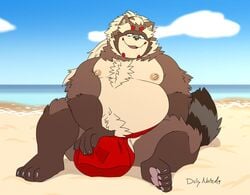 1boy anthro anthro_only balls beach belly big_balls canid canine clothing duly_noted fluffy fundoshi goemon_(tokyo_afterschool_summoners) huge_balls hyper hyper_balls japanese_clothing male male_only mammal moobs nipples outdoors overweight pawpads raccoon_dog sand seaside solo tanuki tokyo_afterschool_summoners underwear video_games