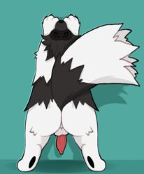 1boy 2019 against_wall alternate_color animal_genitalia animal_penis ass back backsack balls black_body black_fur closed_eyes feral fur male male_only nintendo original_character penis pink_penis pokémon_(species) pokemania pokemon pokemon_rse raccoon raised_tail rear_view solo stretching teal_background testicles video_games white_body white_fur zigzagoon