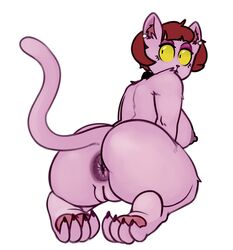 anthro anus ass big_butt breasts chen_(chubbachunks) chubbachunks domestic_cat felid feline felis female hair hi_res mammal nipples nude presenting presenting_hindquarters pussy short_hair simple_background solo