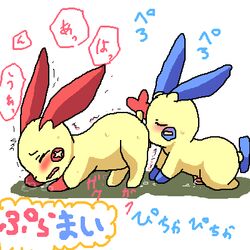 color cunnilingus female fur furry male minun nudity oral penis plusle pokemon pokemon_(species) pokemon_rse side_view straight