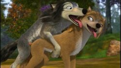 alpha_and_omega ambiguous_penetration anatomically_correct anatomically_correct_genitalia canid canine canis crest_animation_studios dimkon97 doggy_style female feral feral_on_feral forest from_behind_position genitals hi_res humphrey_(alpha_and_omega) kate_(alpha_and_omega) male male/female mammal penetration plant sex tagme tongue tongue_out tree wolf