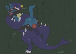 2_penises absurd_res animal_genitalia animal_penis anthro anthro_on_anthro ass balls blue_body blue_fur blue_scales bodily_fluids claws clenched_teeth dragon dumb_raccoon duo erection forest from_front_position fur garchomp generation_2_pokemon generation_4_pokemon genitals grin hemipenes hi_res lucario male male/male male_anthro male_penetrated male_penetrating male_penetrating_male mastery_position motion_lines multi_genitalia multi_penis mythological_creature mythological_scalie mythology nintendo orgasm_face penetration penis plant pokemon pokemon_(species) red_eyes scales scalie sex smile sound_effects spikes tears tears_of_pleasure teeth throbbing throbbing_balls tree ursaring