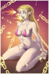 princess zelda from breath of the wild by palomar4233