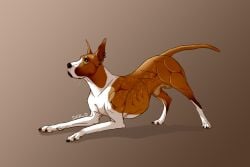 2020 animal_genitalia arms_bent artist_name ass ass_up balls bent_over black_claws black_ear_piercing black_ear_ring black_nose black_piercing bodily_fluids brown_background canid canine canis cast_shadow claws cropped_ears defined_muscles dewclaw digital_media_(artwork) digitigrade domestic_dog drooling ear_piercing ear_ring ears_up english_text eyebrows feral fully_sheathed fur genitals gradient_background great_dane hi_res iris leg_markings lips looking_up male mammal markings mastiff molosser monotone_butt monotone_paws mouth_closed multicolored_body muscular muscular_male ninjadog2015 orange_arms orange_back orange_balls orange_body orange_butt orange_ears orange_eyebrows orange_face orange_fur orange_head orange_inner_ear orange_legs orange_neck orange_pawpads orange_sheath orange_snout orange_tail pawpads piercing pupils quadruped raised_tail ribs ring_piercing saliva saliva_string sheath simple_background socks_(marking) solo tail teal_eyes text thin_tail three-quarter_view two_tone_arms two_tone_body two_tone_legs two_tone_neck two_tone_snout white_arms white_body white_chest white_fur white_legs white_lips white_neck white_paws white_snout
