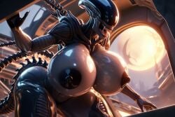 1girls 3d ai_generated alien alien_(franchise) alien_girl alternate_species anthro big_ass big_breasts black_body black_nipples black_skin breasts crouching female female_xenomorph genitals glistening glistening_body hot_body nipples nude nude_anthro nude_female queen_of_spades ravenomega science_fiction sexy_body sexy_pose solo spaceship spread_legs spreading tail thick_thighs voluptuous voluptuous_female vulva woman xenomorph xenomorph_tail young young_female