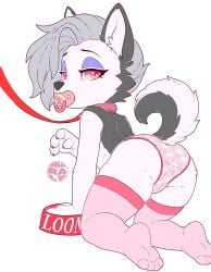 1girls 2026 aged_down anthro anthro_female anthro_only anthro_solo back_view bowl canid canine canis childish_panties collar cub dog_bowl doggystyle eyebrows eyelashes eyeshadow female female_cub female_only fur furry furry_female furry_only grey_body grey_fur grey_hair hellaverse hellhound helluva_boss leash leash_and_collar loona_(helluva_boss) pacifier pacifier_in_mouth panties sharalythesheep solo solo_anthro solo_female stockings thighhighs underwear url white_body white_fur wip wolf wolf_girl young young_anthro young_female