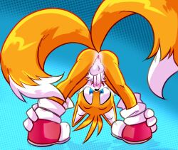 tails the fox from sega by syaokitty