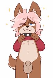 animal_genitalia anthro balls bottomless brown_body brown_fur clothed clothing clothing_lift collar crushpepper darkened_balls darkened_genitalia darkened_sheath flashing front_view fully_sheathed fur genitals gynomorph hair hair_over_eye hi_res hyena intersex looking_at_viewer mammal multicolored_body nipples one_eye_closed pink_hair red_clothing red_sweater red_topwear sheath shirt shirt_lift simple_background snaggle_tooth solo spiked_collar spikes sweater tagme topwear trans_(lore) trans_woman_(lore) two_tone_body white_background xance_(kirixance)