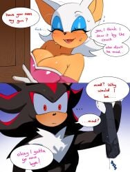 rouge the bat from sega by fruitcrunchi
