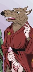 anthro cropped edit erection hamato_yoshi hamato_yoshi_(tmnt_1987) kimono male male_only master_splinter master_splinter_(tmnt_1987) masturbation penile_masturbation penis rat rodent splinter teenage_mutant_ninja_turtles tmnt_1987 trimdream