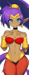 1girls arabian_clothes ass big_breasts blush choker cleavage clothed clothing female genie hair harem_outfit harem_pants human humanoid jewelry large_breasts long_hair pants ponytail purple_hair revenantart shantae shantae_(character) smooth_skin