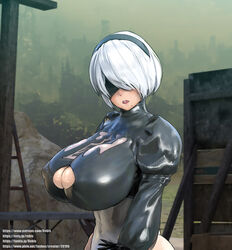 yorha 2b from nier: automata by rebis