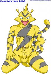 2008 anthro black_fur black_stripes color dark_moltres electabuzz erection front_view fur furry furry_tail handjob kneeling looking_at_viewer male male_only masturbation nude open_eyes open_mouth penis pokemon precum solo stripes tail teal_eyes testicles tongue white_background yellow_fur