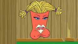 aqua_teen_hunger_force frylock rule_63 tagme uhh...