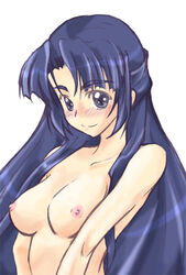 asakura_ryouko blue_eyes blue_hair breasts long_hair nipples phares smile suzumiya_haruhi_no_yuuutsu thick_eyesbrows topless