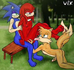 all_fours anthro ass canine day echidna fellatio fox fur furry furry_only handjob hedgehog interspecies knuckles_the_echidna male male_only mammal masturbation monotreme multiple_males no_humans nude oral outdoors sega sex sitting sonic_(series) sonic_3 sonic_team sonic_the_hedgehog sonic_the_hedgehog_(series) sonic_the_hedgehog_3 tails yaoi