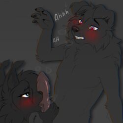 anthro balls blush border_collie canid canine canis collie domestic_dog duo eye_contact fellatio female femboy fox fur furry genitals herding_dog hi_res intersex intersex/male invalid_tag knot licking looking_at_another male mammal moan oral pastoral_dog paws penile penis sex sheepdog shy skibaparker snout tongue