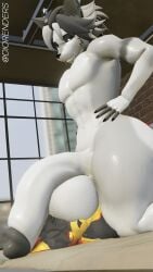 3d 3d_(artwork) 3d_model 3d_render anthro anthro_on_anthro anthro_only balls balls_on_face balls_on_head balls_on_nose ballsack big_balls big_dick big_thighs blender blender3d blender_(artwork) blender_(software) dick dick_in_face dick_on_face diorenders furry furry_male furry_male_only furry_only gay hyper_balls hyper_penis hyper_testicles male male/male muscular muscular_anthro muscular_male musk penis penis_on_face penis_on_head penis_size_difference thicc_thighs twitter twitter_link twitter_username white_fur