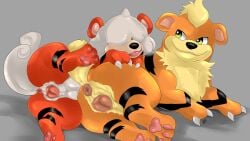 absurd_res anatomically_correct anatomically_correct_genitalia anatomically_correct_vulva animal_genitalia animal_vulva anus aquilesbraco canid canine canine_genitalia canine_vulva duo female feral generation_1_pokemon genitals growlithe hi_res hisuian_form mammal nintendo nude paws pokemon pokemon_(species) regional_form_(pokemon) vulva