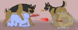 4_toes ambiguous_gender ambiguous_species black_body black_eyebrows black_fur black_nose canid canine canis cock_vore collar collar_tag digestion domestic_dog duo english_text eyebrows feet feral feral-puppy feral_pred fur genitals german_shepherd herding_dog male mammal multicolored_body multicolored_fur open_mouth orange_eyes pastoral_dog penile penis pink_background pink_tongue simple_background tail text toes tongue unwilling_prey vore