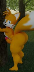 3d ass big_balls big_butt blue_eyes dipstick_tail fox hi_res hornybunny hyper hyper_balls male male_only multiple_tails nude open_mouth orange_fur presenting_hindquarters solo sonic_(series) tails thick_thighs wide_hips