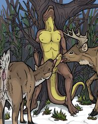 anthro antlers capreoline cervid female feral group horn licking looking_pleasured male male/male mammal musorok nipples open_mouth oral outside penile penis penis_lick pussy sex snow straight teeth tongue tongue_out white-tailed_deer zoophilia