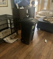 38155 been hacked has home inside orzo peak the trashcan