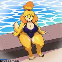 2024 animal_crossing big_breasts black_eyes black_nails blonde_hair bluebambo blush blush breasts canine cleavage domestic_dog feet female female_only furry isabelle_(animal_crossing) one-piece_swimsuit pool poolside short_hair sitting sitting_down tan_fur thick_thighs thighs tied_hair yellow_fur