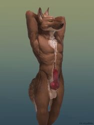 2018 animal_genitalia animal_penis anthro athletic balls canid canine canine_penis chest_tuft erection front_view fur hands_behind_head hi_res knot male male_only mammal maned_wolf nude penis portrait sheath simple_background solo standing three-quarter_portrait tuft virtyalfobo