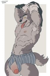 abs anthro armpit_hair arms_above_head balls_outline biped black_nose bodily_fluids body_hair boxers_(clothing) bulge canid canine canis clothing detailed_bulge erection fangs fluffy fluffy_tail foreskin fur genital_outline genitals grey_body grey_fur hi_res humanoid_genitalia humanoid_penis kemono male mammal mostly_nude muscular muscular_anthro muscular_male pecs penis pointy_ears saliva simple_background solo standing tail teeth ten_g89 tired tongue tongue_out underwear undressing wolf
