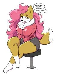 2025 amber_eyes anaugi anthro barefoot big_breasts bottomwear breasts bulge canid canine canis clothed clothing crossed_legs dialogue dipstick_tail dolphin_shorts domestic_dog english_text erection erection_under_clothing feet furniture gynomorph hair herding_dog hi_res intersex leg_markings long_hair mammal markings open_mouth pastoral_dog peebles pembroke_welsh_corgi pink_hair ruff shorts simple_background socks_(marking) solo speech_bubble stool sweater tail tail_markings text topwear trans_(lore) trans_woman_(lore) welsh_corgi white_background