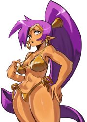 shantae (character) from shantae by moxydrawsmore