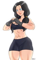 videl from dragon ball by pranky