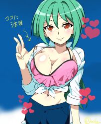 1girls anjou_tokoha breasts cardfight!!_vanguard cardfight!!_vanguard_g green_hair large_breasts navel oda_koziki pink_swimsuit polo_over_swimsuit shorts sky stomach swimsuit