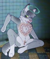 anthro blood bodily_fluids bondage canid canine canis canistalgia chastity_device chastity_piercing female furry genital_piercing genitals hybrid mammal medical mind_break pain photo_background photography_(artwork) piercing solo wolfdog