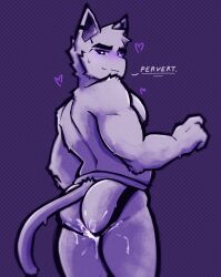 anthro ass biceps biped blush bodily_fluids clothed clothing cum cum_in_ass cum_inside domestic_cat felid feline felis fur genital_fluids heart hi_res jockstrap jockstrap_only male mammal muscular muscular_anthro muscular_male smug solo star sweat sweatdrop topless ubecreamcake underwear underwear_only white_body white_fur