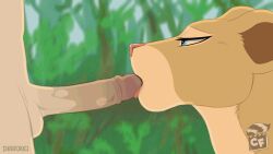 2d_animation animated anthro bestiality bodily_fluids creature_features deep_throat digitoxici disney duo felid fellatio female female_anthro female_penetrated feral feral_penetrated fur genital_fluids hi_res human human_on_feral human_penetrating human_penetrating_feral interspecies lion loop male male/female male_human male_on_feral male_penetrating male_penetrating_female mammal nala_(the_lion_king) neck_bulge oral oral_penetration pantherine penetration penile saliva sex short_loop sound_effects tan_body tan_fur the_lion_king