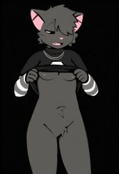 whispvo fan art