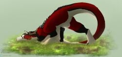 sanguine (sanguinederg) fan art