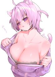 1girls 2024 artist_name bare_shoulders big_breasts bra breasts cat_ears cleavage collarbone eyebrows eyebrows_visible_through_hair eyelashes hololive hololive_gamers hololive_japan hoodie lace lace-trimmed_bra large_breasts looking_at_viewer nekomata_okayu open_hoodie purple_eyes purple_hair simple_background solo tajo undressing virtual_youtuber white_background