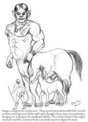 2010 abs animal_genitalia balls centaur dated equid equid_taur european_mythology fur genitals gianttoby greek_mythology group hair hooves human humanoid_taur jewelry macro male male/male mammal mammal_taur muscular mythology necklace nipples nude_male nude_taur sheath sheath_size_difference signature size_difference skull_necklace tail taur trio