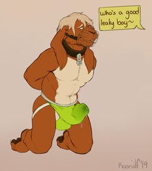 1boy 2019 abs anthro ball_bulge bodily_fluids body_fur bondage bound bulge clothing collar dialogue duo english_text erection fur genital_fluids jockstrap kneeling koorivlf lagomorph leaking leporid male male_only mammal mostly_nude muscular muszlke muzzle_(disambiguation) paws penis_bulge penis_outline precum precum_drip rabbit signature simple_background smooth_fur snout solo_focus tent text toes underwear wet wet_clothing