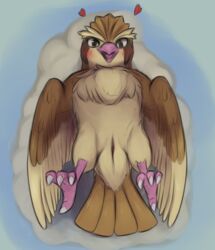 1girls 2019 animal_genitalia avian beak belly black_eyes blush brown_body brown_feathers cloaca digital_media_(artwork) eye_contact feathers feet female feral furry furry_only heart hi_res looking_at_viewer lying metalisk nintendo nude on_back pidgey pokémon_(species) pokemon pose presenting presenting_pussy pussy simple_background smile solo tan_body tan_feathers text vertical_cloaca video_games watermark wings