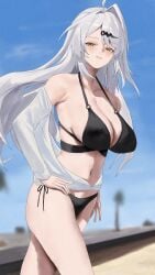 1girls big_breasts bikini black_bikini black_swimsuit breasts breasts_out brown_eyes exposed_breasts female hoyoverse large_breasts long_hair mihoyo sideboob swimsuit white_hair yixuan_(zenless_zone_zero) zenless_zone_zero