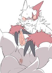 1boy 2019 anthro anthrofied anus ass chubby fur furry hi_res konbu male male_only nintendo penis pokémon_(species) pokemon pokemon_(species) pokemon_rse simple_background solo testicles video_games white_background white_body white_fur zangoose