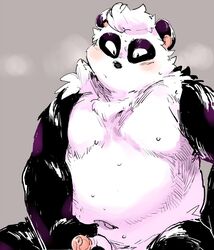 2017 anthro belly black_body black_fur blush bodily_fluids fur giant_panda humanoid_hands konbu male male_only mammal moobs navel overweight overweight_male penis solo sweat ursid white_body white_fur