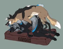 absurd_res anthro canid canine dog_bed duo feral fox hi_res karidas_(rexroyale) male male/male mammal maned_wolf pet_bed rayting wirepup zoophilia